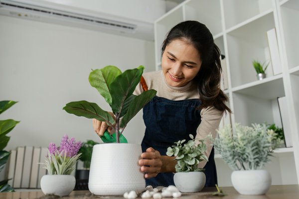 Plantes au bureau : créez un espace de travail inspirant